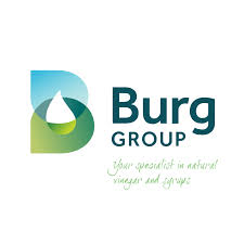 Burg group logo
